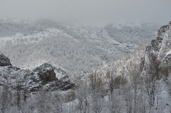 Foto - Şırnak, nisan ayında kara teslim
