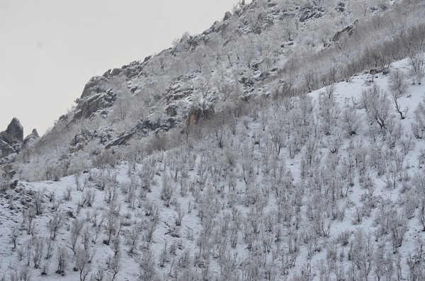 Foto - Şırnak, nisan ayında kara teslim