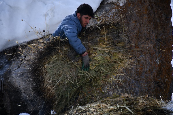 Foto - Şırnaklı besicilerin zorlu mesaisi