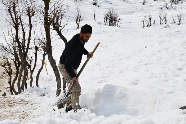 Foto - Şırnaklı besicilerin zorlu mesaisi