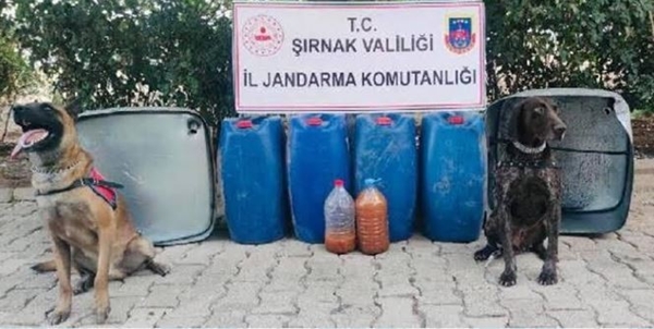 Foto - Şırnak’ta 28 PKK’lı terörist etkisiz hale getirildi