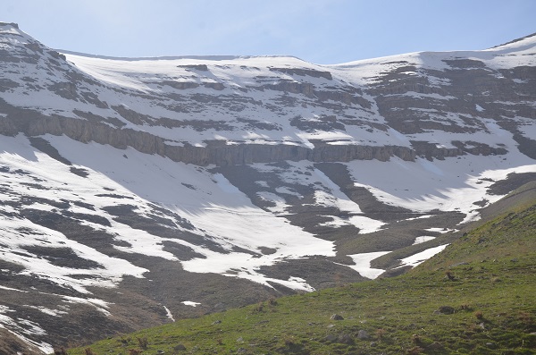 Foto - Şırnak'ta mesai başladı! Bakın bu ot ne için toplanıyor
