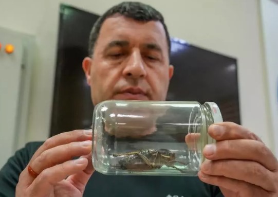 Şırnakta ortaya çıktı! Hemen incelemeye alındı