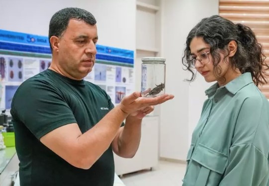 Foto - Şırnakta ortaya çıktı! Hemen incelemeye alındı