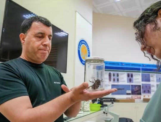 Foto - Şırnakta ortaya çıktı! Hemen incelemeye alındı