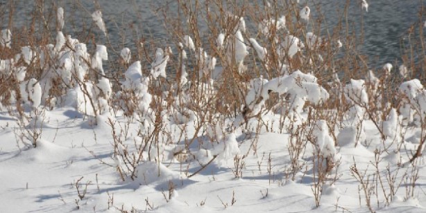 Foto - Şırnak’ta termometreler eksi 21 dereceyi gösterdi