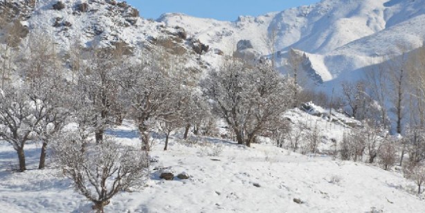 Foto - Şırnak’ta termometreler eksi 21 dereceyi gösterdi