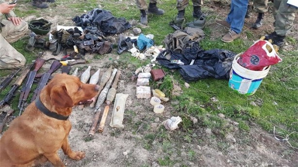 Şırnak'taki mağaradan bunlar çıktı