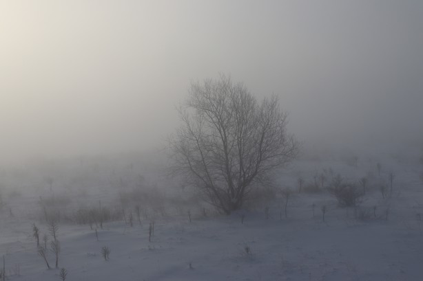Sis bastırdı! Görüş mesafesi 35 metreye düştü