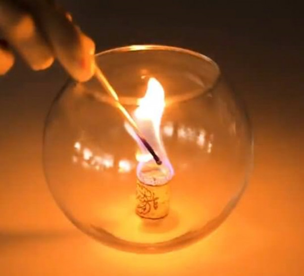 Foto - Şişe mantarlarını çöpe atmayın!