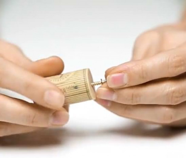 Foto - Şişe mantarlarını çöpe atmayın!