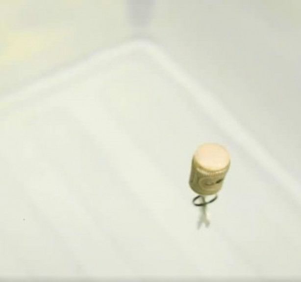 Foto - Şişe mantarlarını çöpe atmayın!