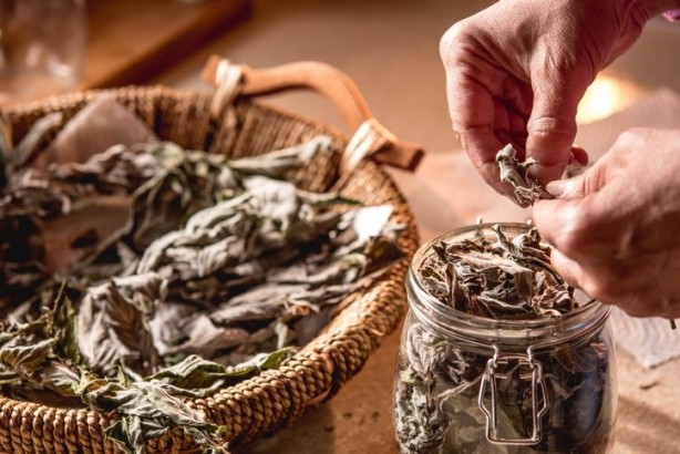 Şişen bademcikleri balon gibi söndüren yöntem! Mikroptan eser bırakmıyor...