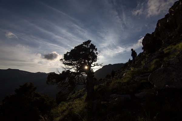 Foto - Sislerin ardından saklı cennet: Yama Dağı Yaylası