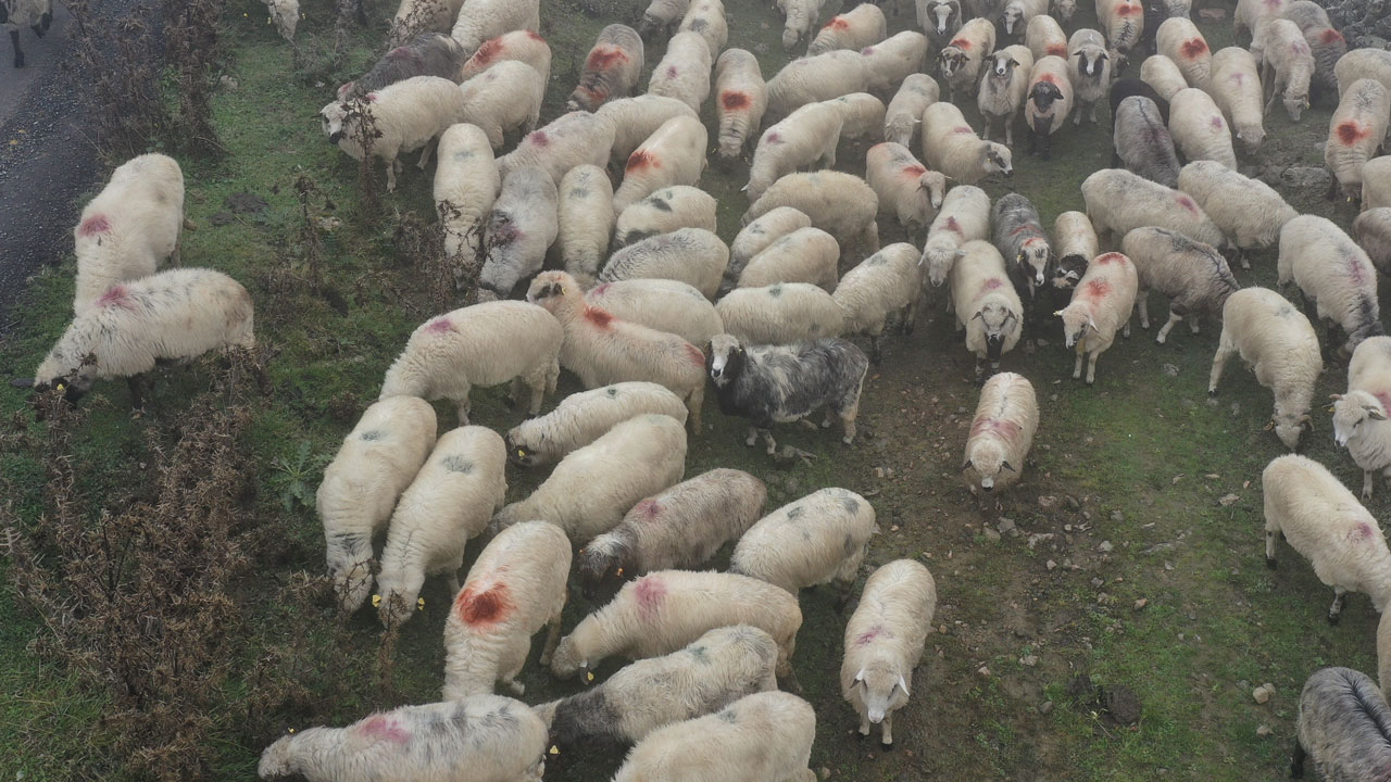 Foto - Sislerin içinde yolculuk! Yayla hayatı sonbaharda köylere taşınıyor