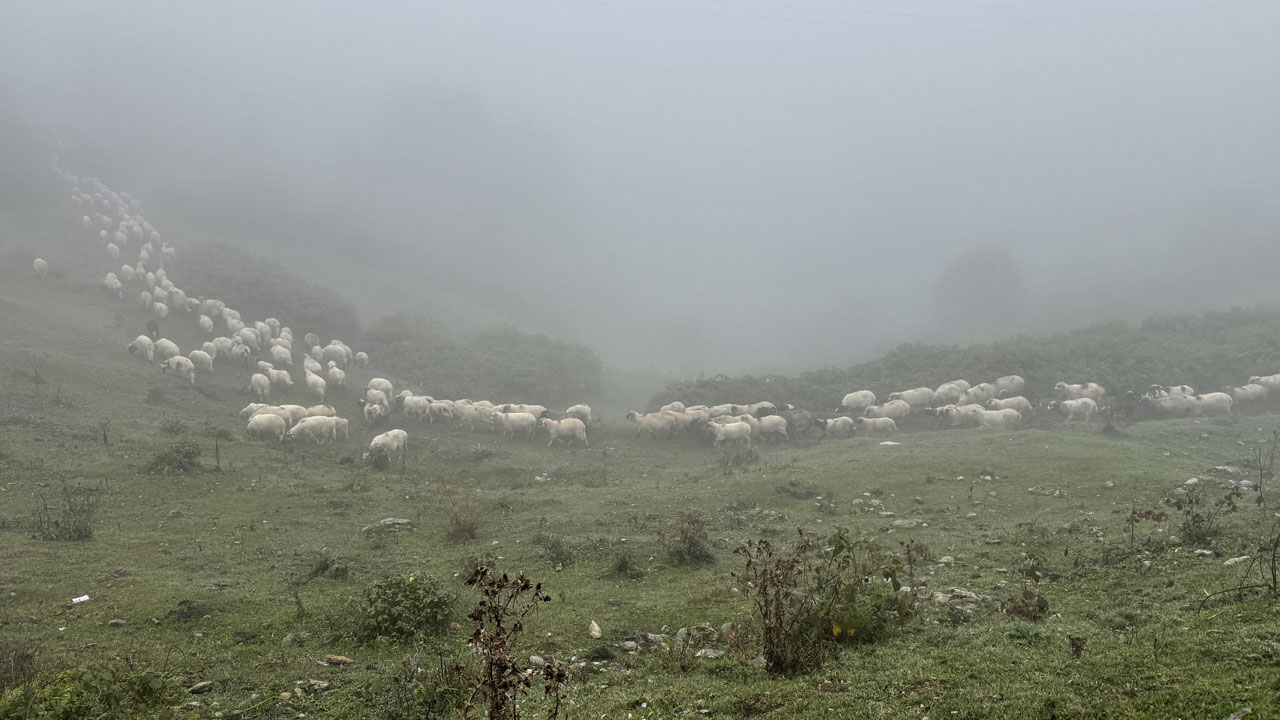 Foto - Sislerin içinde yolculuk! Yayla hayatı sonbaharda köylere taşınıyor