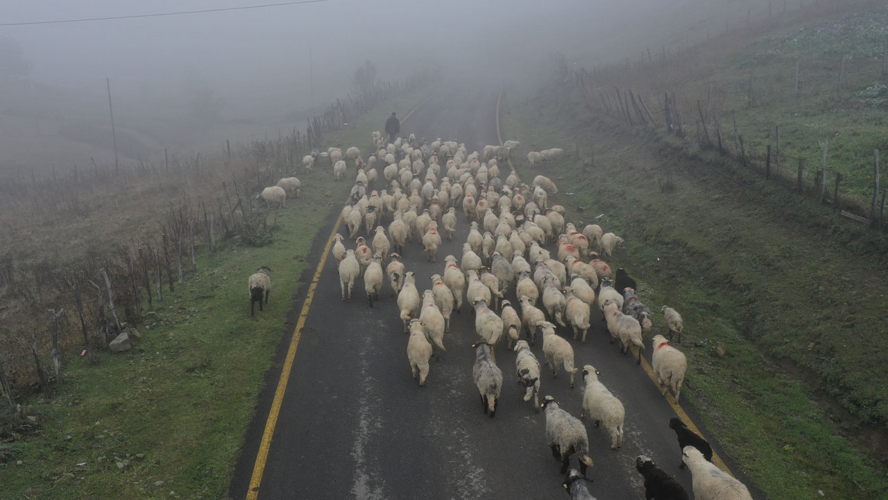 Foto - Sislerin içinde yolculuk! Yayla hayatı sonbaharda köylere taşınıyor