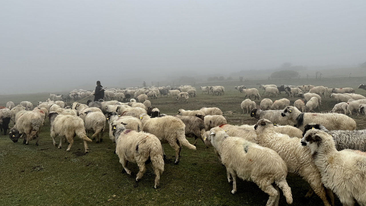 Foto - Sislerin içinde yolculuk! Yayla hayatı sonbaharda köylere taşınıyor