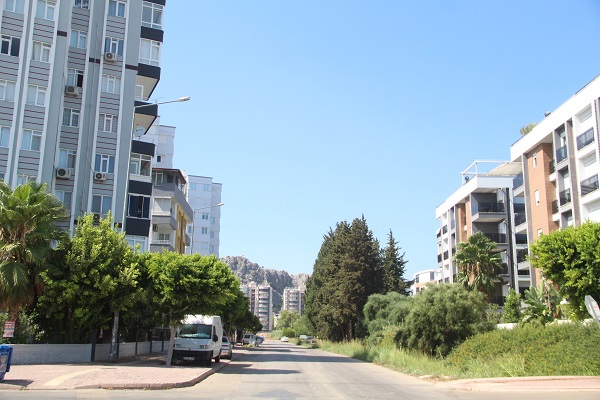 Site sakinleri evlerine giremiyor! O ilimizde domuz sürüsü göz açtırmıyor