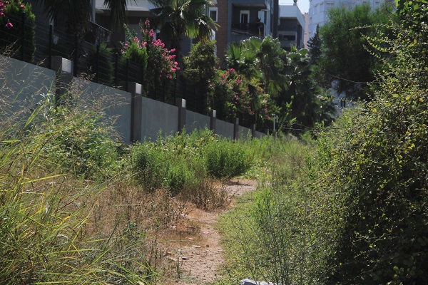 Foto - Site sakinleri evlerine giremiyor! O ilimizde domuz sürüsü göz açtırmıyor