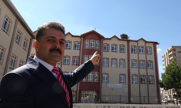 Foto - Sivas'ın leylekli okulu! Tam 40 yıldır aynı yere yuva yapıyor