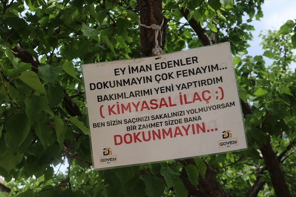 Foto - Sivaslı esnaftan ilginç yöntem! Baba yadigarı ağaca öyle bir not astı ki