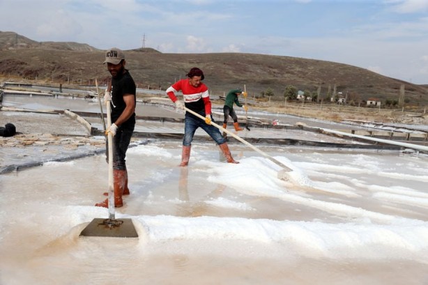 Foto - Sivas'ta çıkıyor, dünyanın 8 ülkesi havada kapıyor! Onun için Türkiye’nin kapısında kuyruk oldular