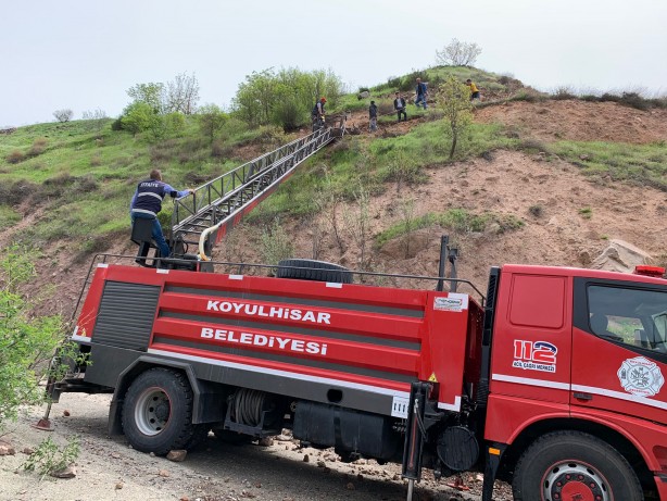 Foto - Sivas'ta dağ yamacında mahsur kalan inek kurtarıldı