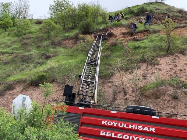 Sivas'ta dağ yamacında mahsur kalan inek kurtarıldı