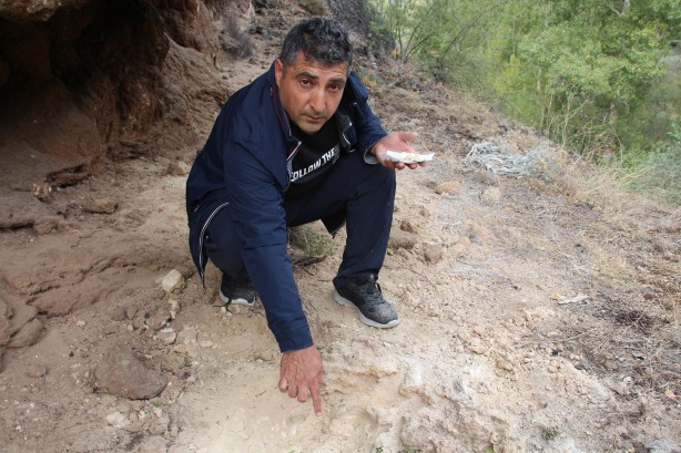 Foto - Sivas'ta tesadüfen bulundu! Milyonlarca yıllık...