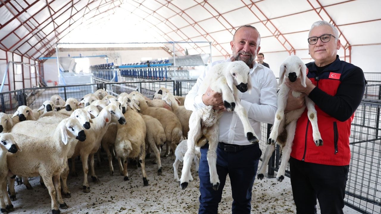 Foto - Sivas’taki dev proje tarım ve turizmi buluşturacak! Gören orta çağ kalesi sanıyor