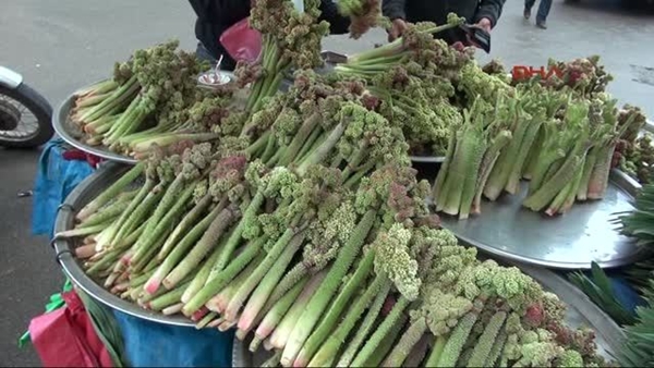 Foto - Sivilce tedavisi için 'Gulik Otu'