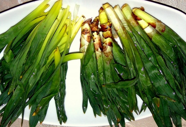 Foto - Sivilce tedavisi için 'Gulik Otu'