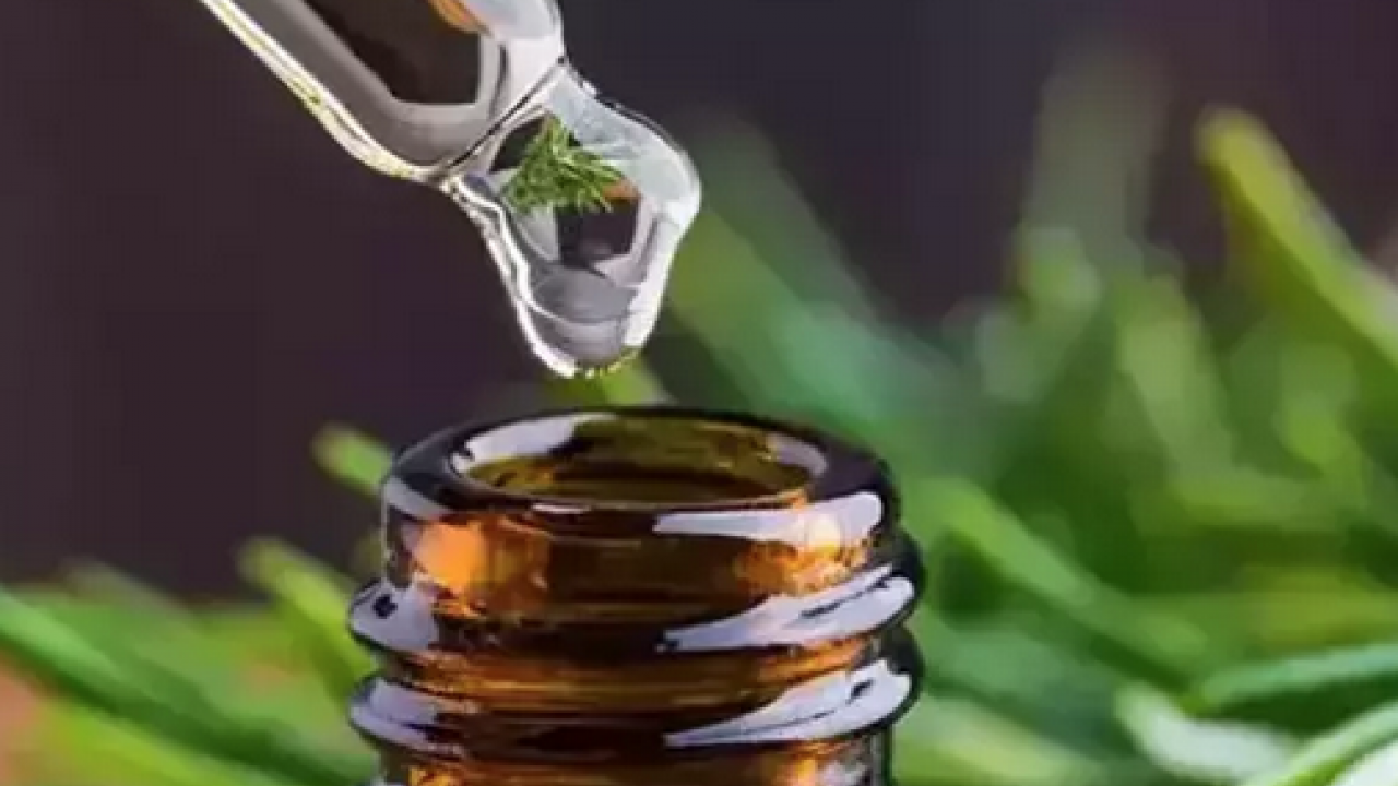 Foto - Sivrisinek ısırığından koruyan yöntem! Kaşıntısının doğal çözümü: Kızarıklığı ve şişliği silip atıyor: Mutlaka denenmeli