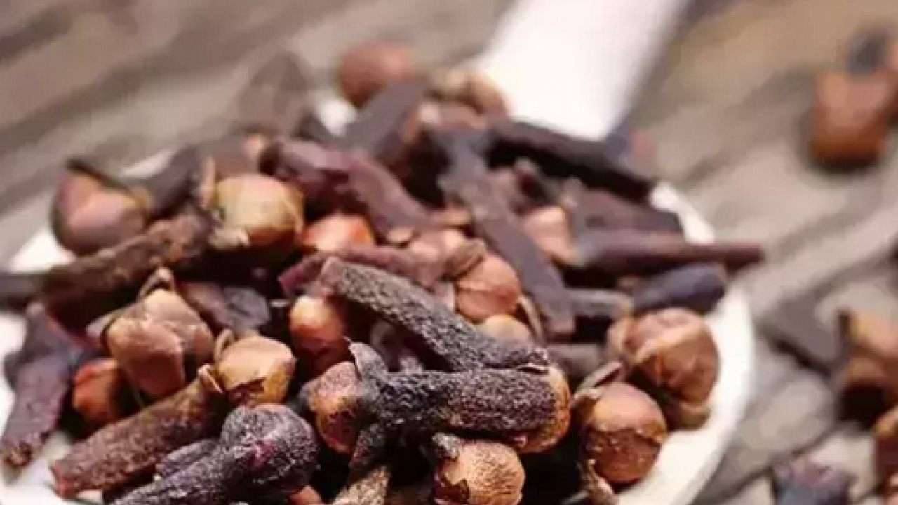 Foto - Sivrisinek ısırığından koruyan yöntem! Kaşıntısının doğal çözümü: Kızarıklığı ve şişliği silip atıyor: Mutlaka denenmeli