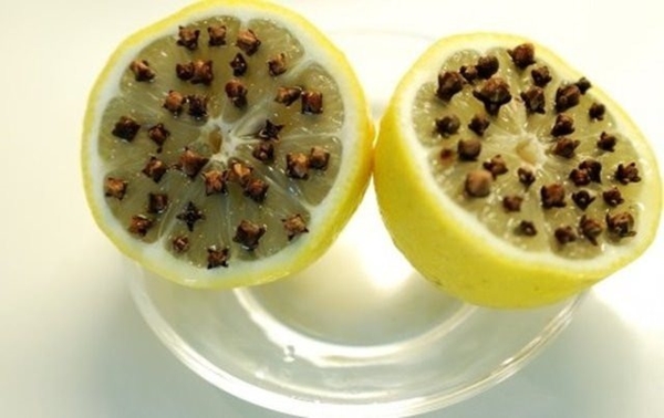 Foto - Sivrisinekler en çok kimleri ısırıyor?