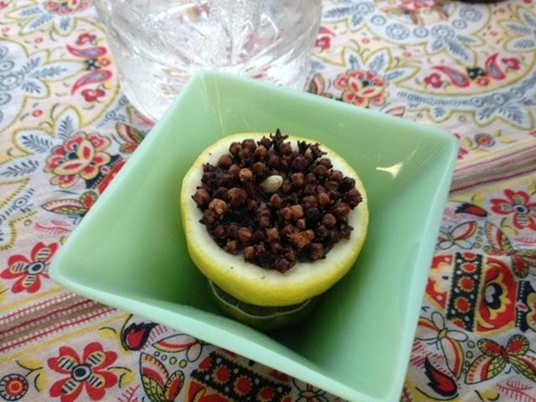 Foto - Sivrisinekler en çok kimleri ısırıyor?