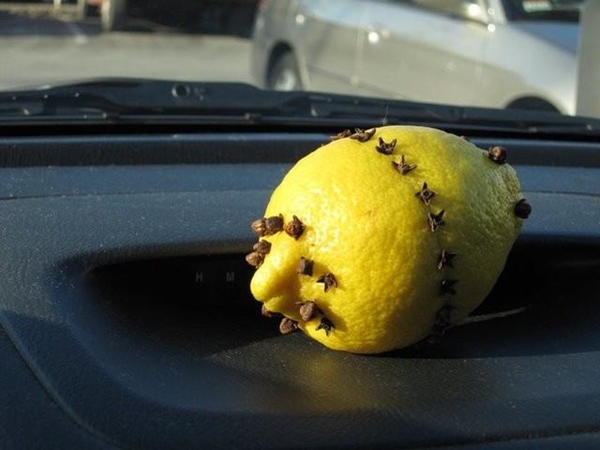 Foto - Sivrisinekler en çok kimleri ısırıyor?