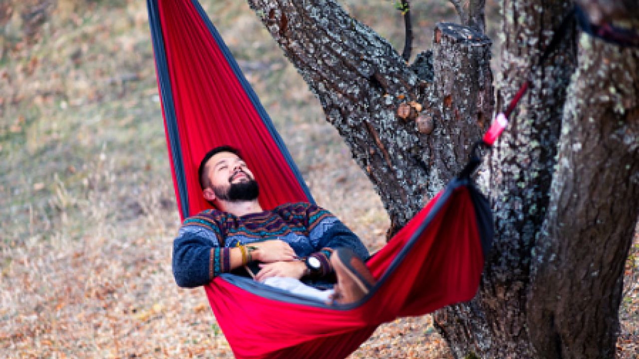 Foto - Sivrisinekler Neden Hep Sizi Isırıyor? Sebebi Kan Grubunuz Değil!