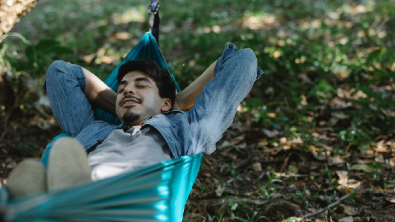 Foto - Sivrisinekler Neden Hep Sizi Isırıyor? Sebebi Kan Grubunuz Değil!