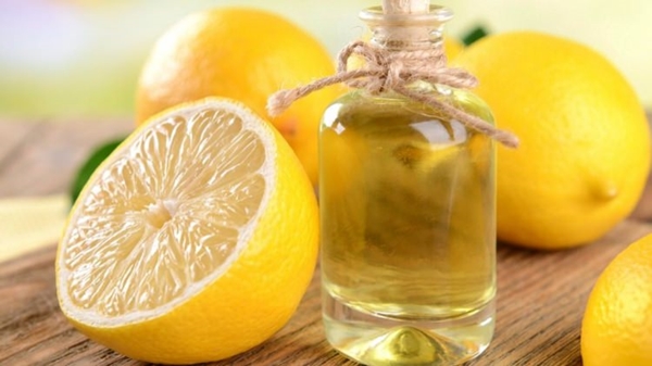 Foto - Sivrisineklerden korunmak için bunları yapın!