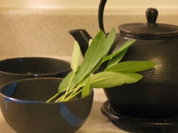 Foto - Sivrisineklerle başa çıkmanın bilimsel yolları