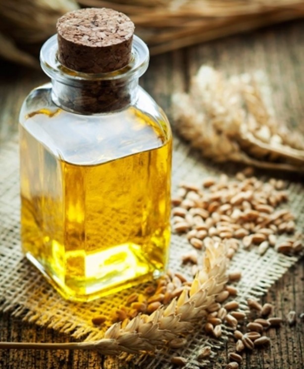 Foto - Sivrisineklerle başa çıkmanın bilimsel yolları