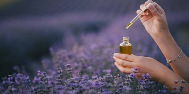 Foto - Sivrisineklerin canına okuyor! Sıkıysa artık gelsinler! İşte yüzde 100 etkili yöntem 