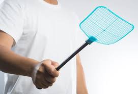 Foto - Sivrisinekten için kurtulmanın doğal yöntemler!