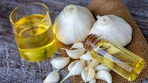 Foto - Sivrisinekten için kurtulmanın doğal yöntemler!