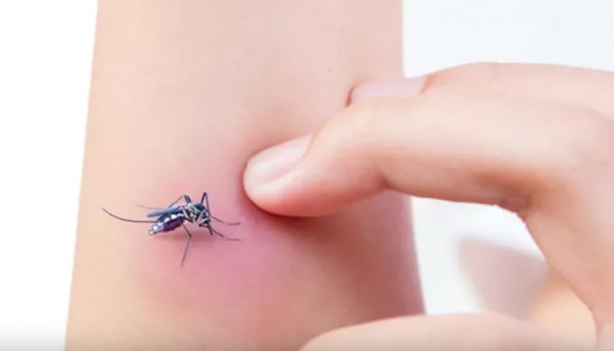 Foto - Sivrisinekten nasıl korunulur? Sağlık Bakanlığı'ndan korunma rehberi