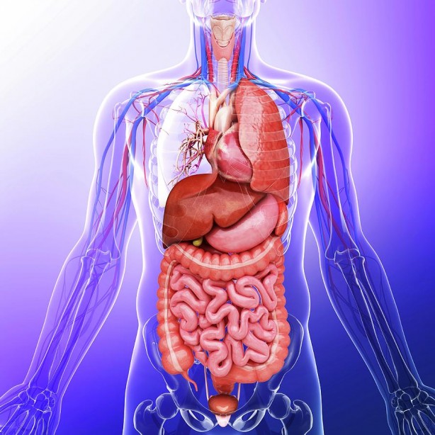 Foto - Siyah çayın bilmediğimiz faydaları...