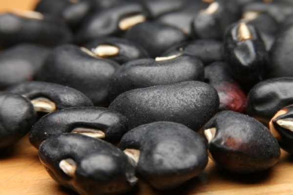 Foto - Siyah fasulye stresi azaltıyor