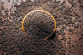 Foto - Siyah hardal tohumu kendine hayran bırakıyor! 1 tutamı bile bakın ne yapıyor... O sorunu son buldu!